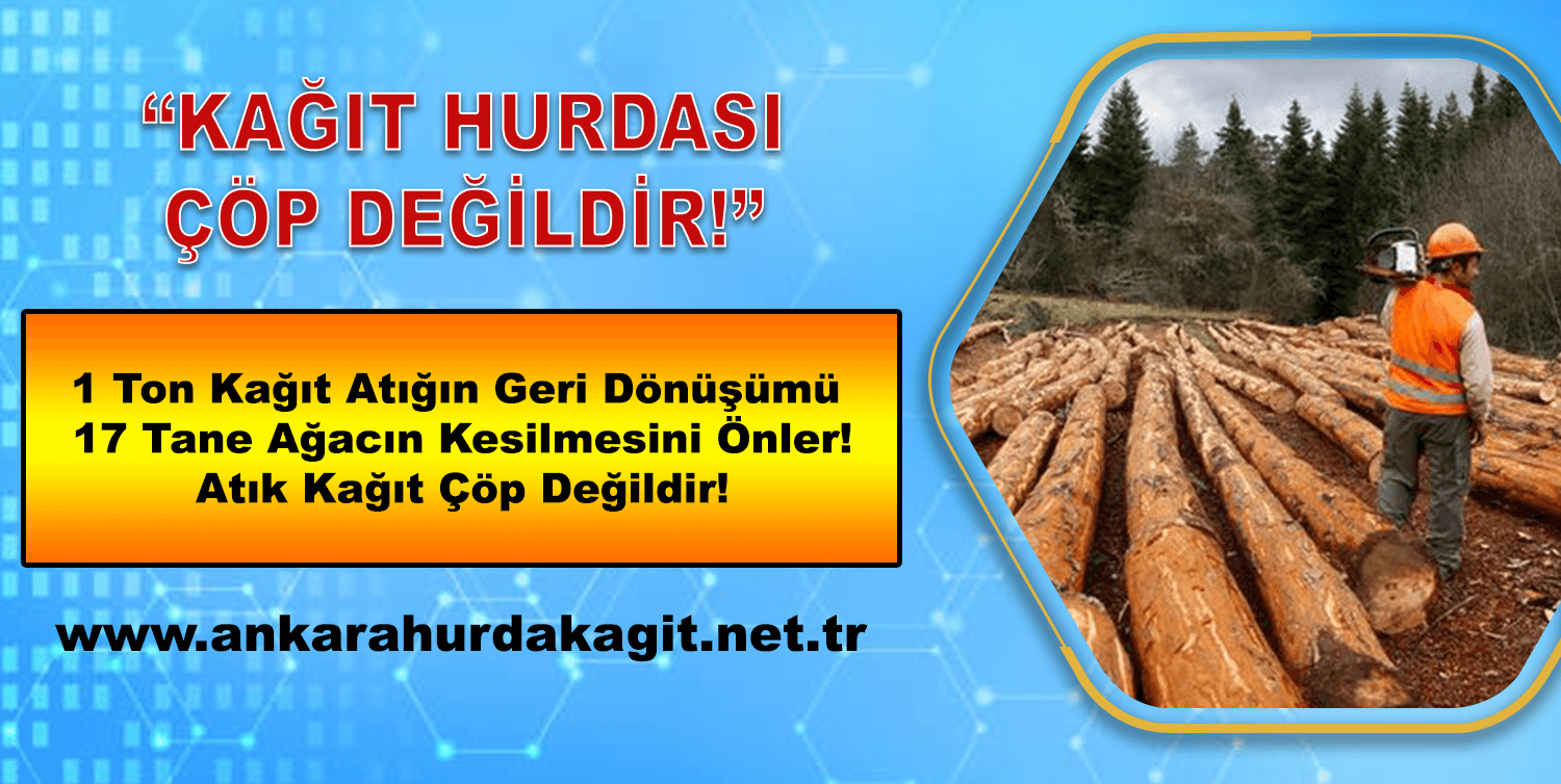 Hurda Kağıt Geridönüşüm
